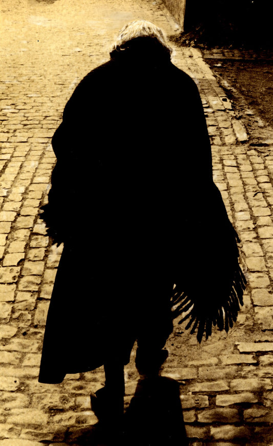 A Lady in a Shawl